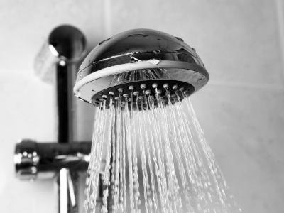 shower head 
